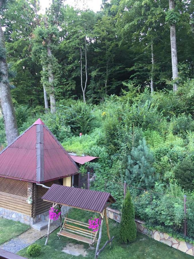 Villa U Lyudmily Karpaty Exterior foto