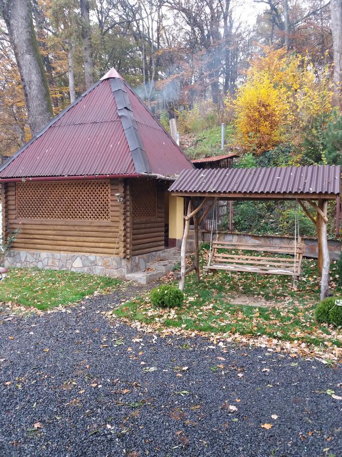 Villa U Lyudmily Karpaty Exterior foto