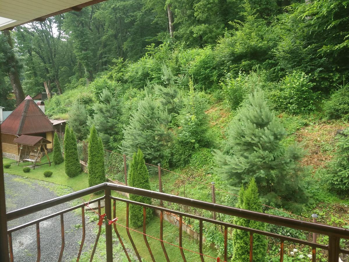 Villa U Lyudmily Karpaty Exterior foto